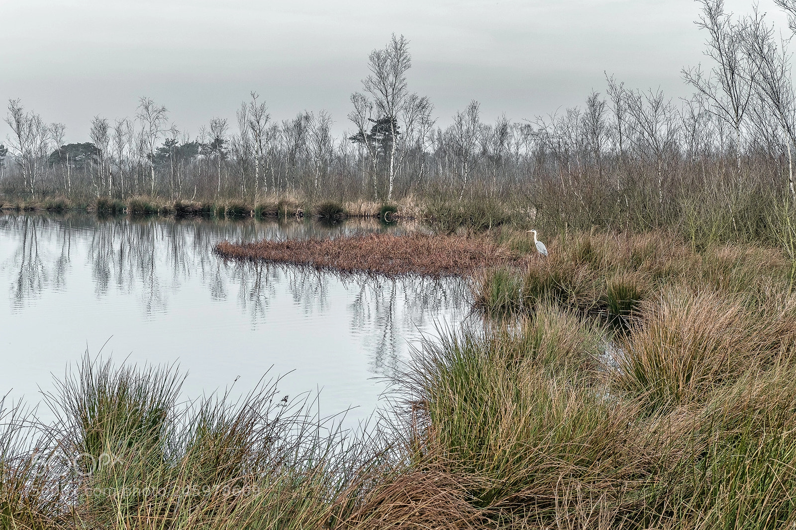Fujifilm X-T2 sample photo. Nationaal park de grote photography