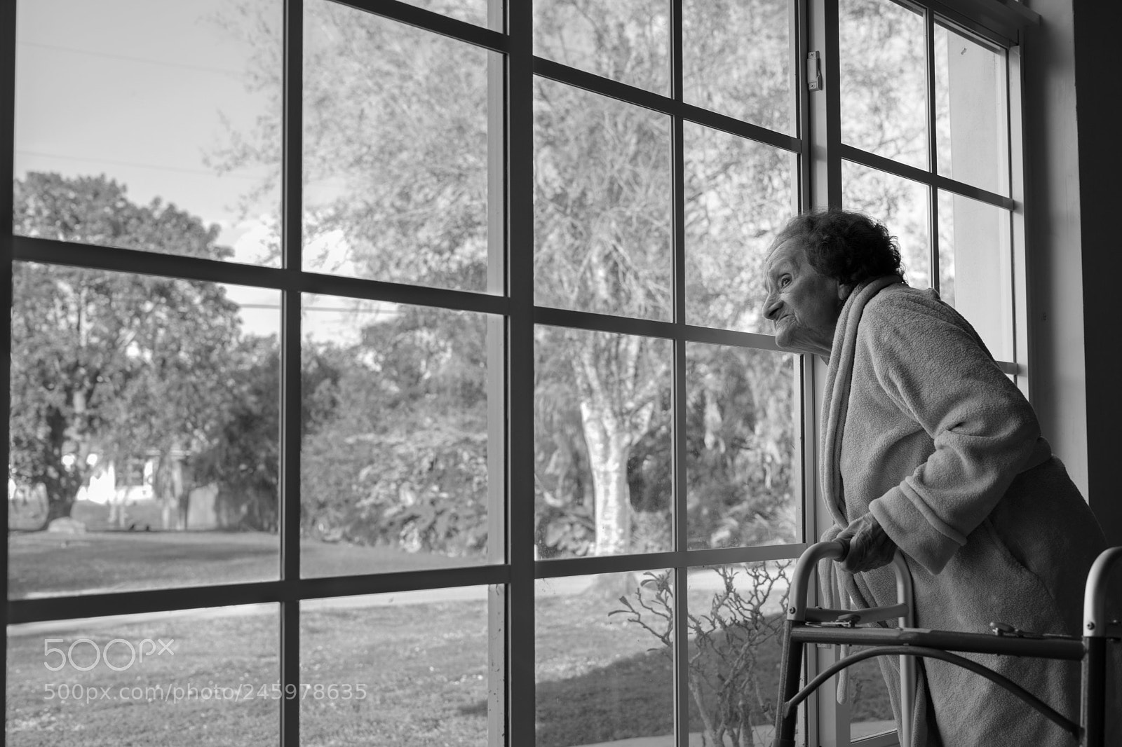 Sony a7 II sample photo. Elisa at window photography