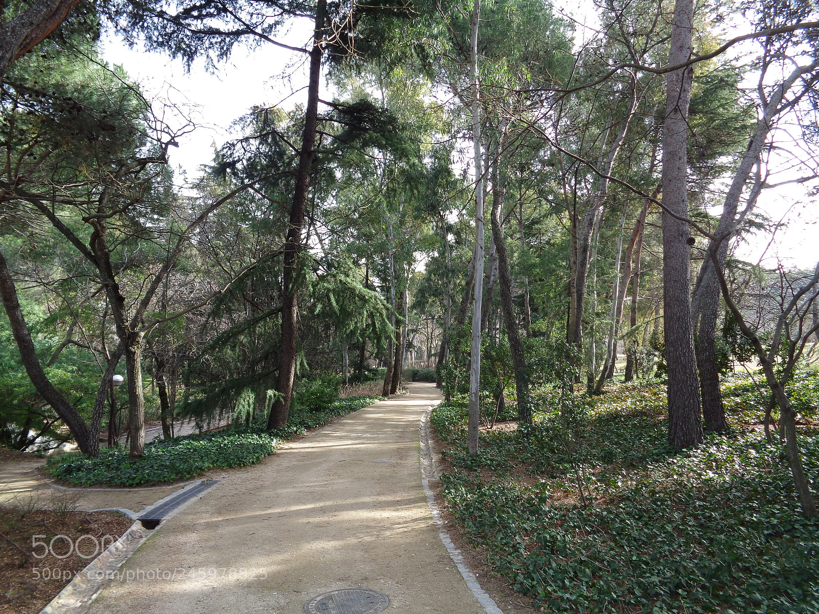 Sony Cyber-shot DSC-W830 sample photo. La quinta de los photography