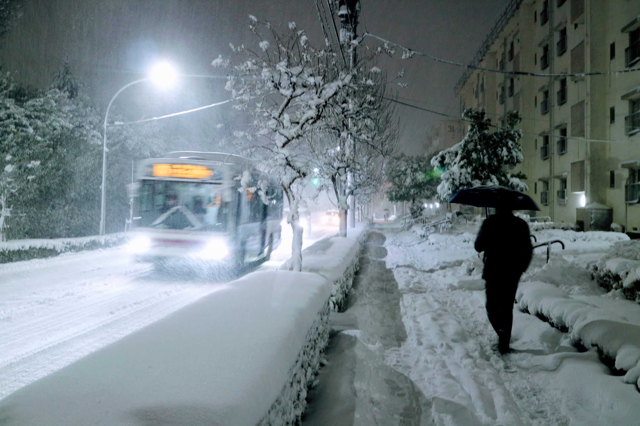 Canon EOS M3 sample photo. Heavy snowfall in tokyo photography