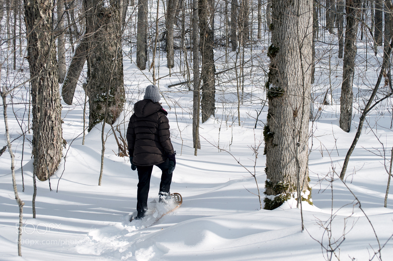 Nikon D3200 sample photo. Off trail photography