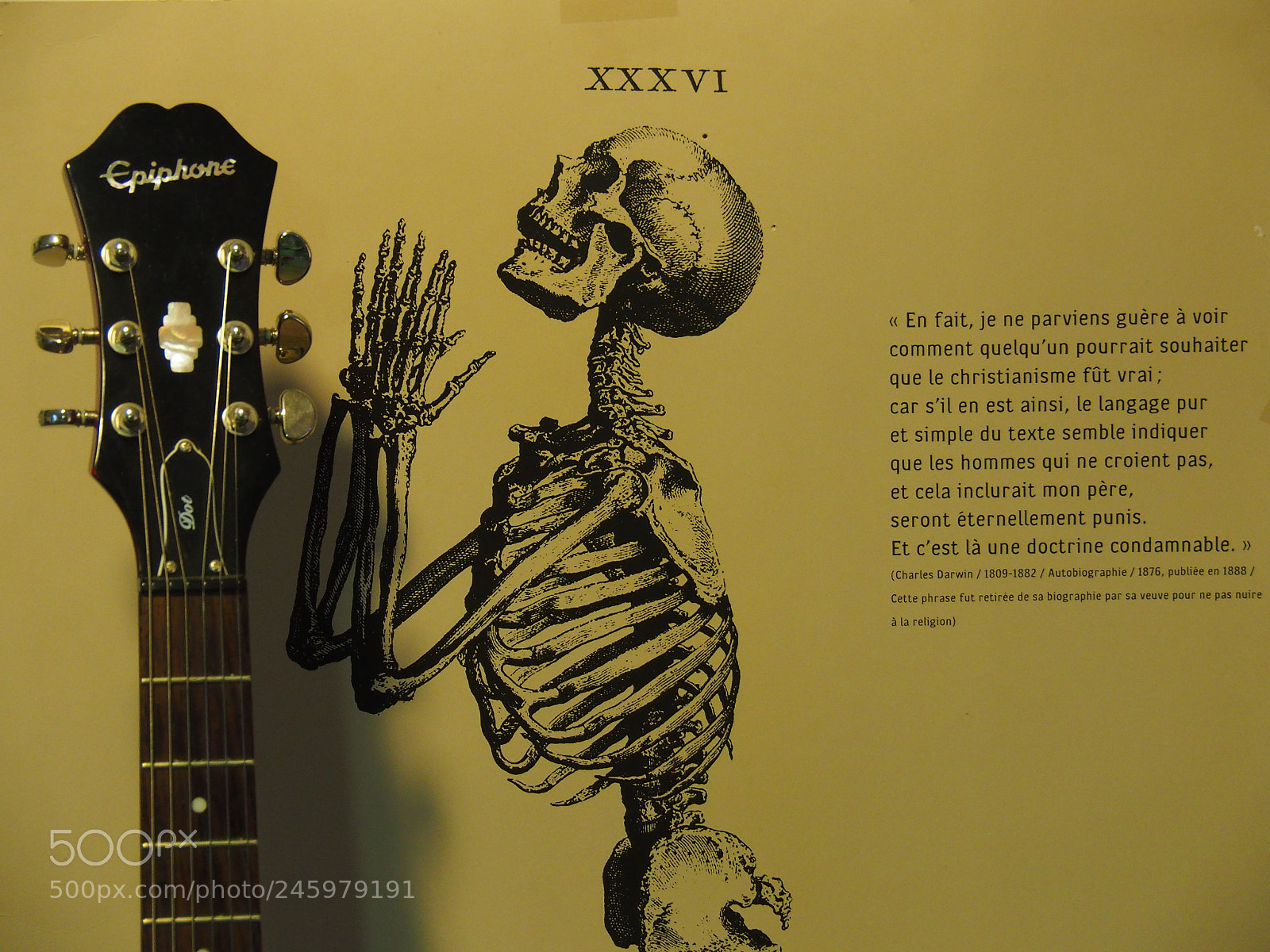 Olympus OM-D E-M10 II sample photo. Sweet my guitar ! photography