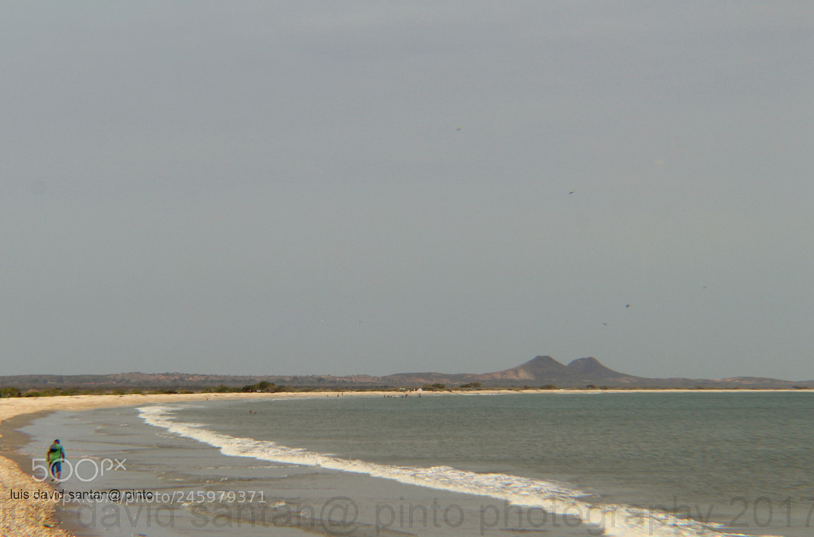 Canon EOS 700D (EOS Rebel T5i / EOS Kiss X7i) sample photo. Walking  alone photography