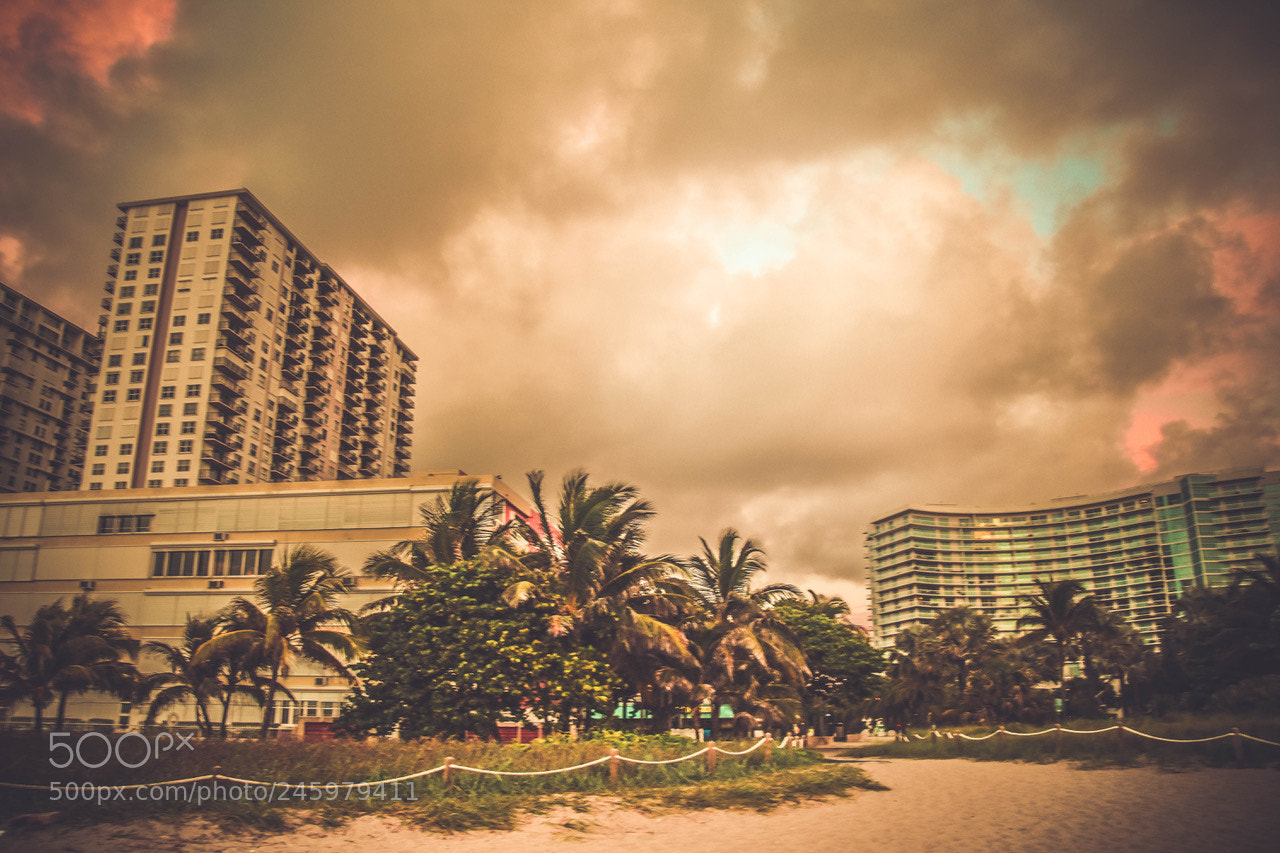 Nikon D7200 sample photo. Florida day 2 photography