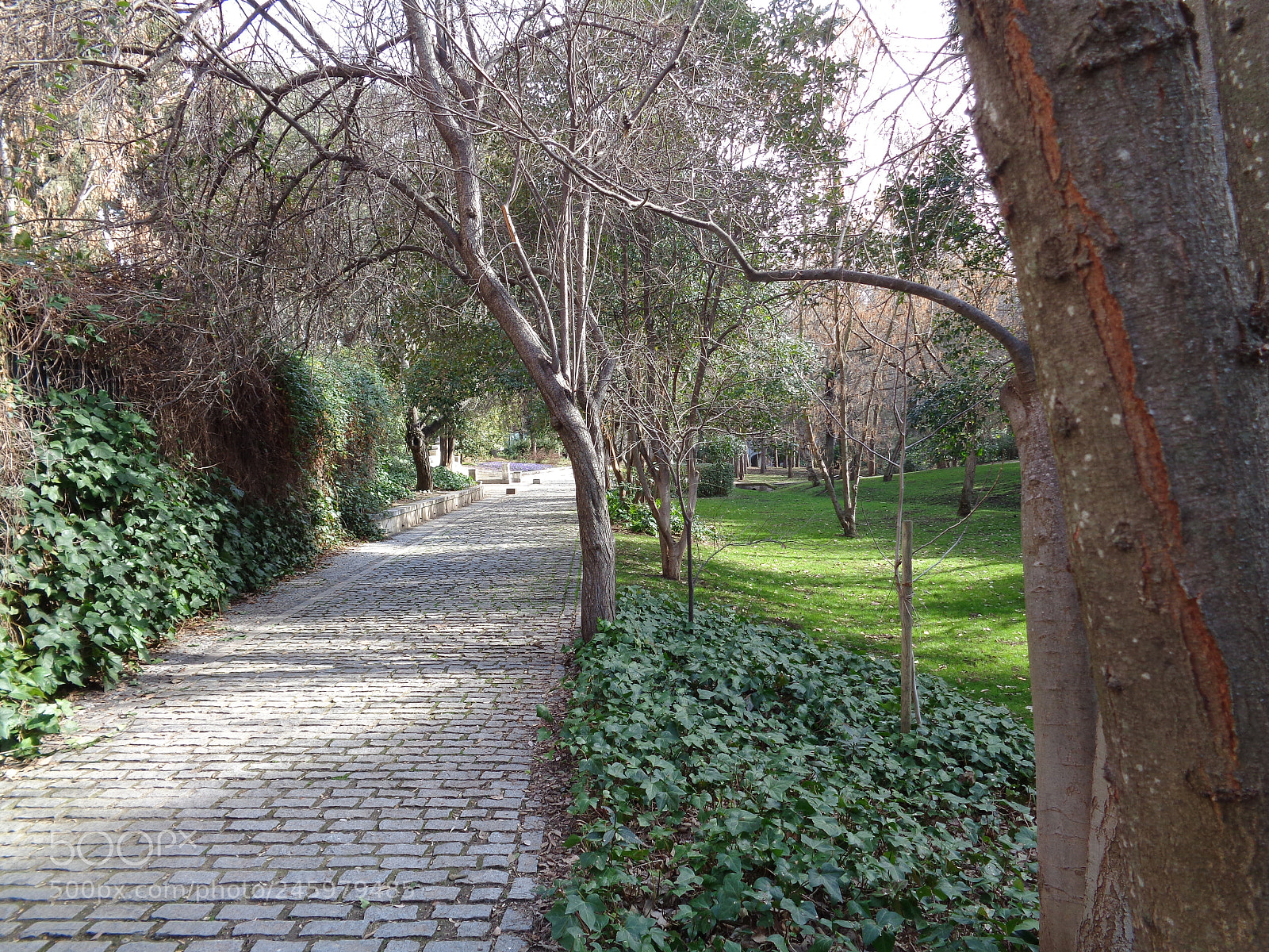Sony Cyber-shot DSC-W830 sample photo. La quinta de los photography