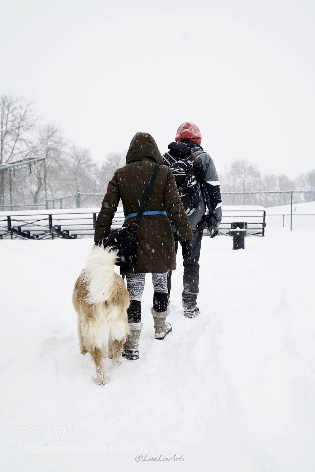Sony a7R II sample photo. Snow  day in montreal photography