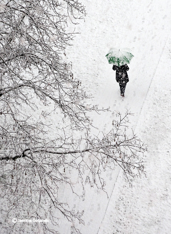 Olympus OM-D E-M1 sample photo. Green umbrella photography