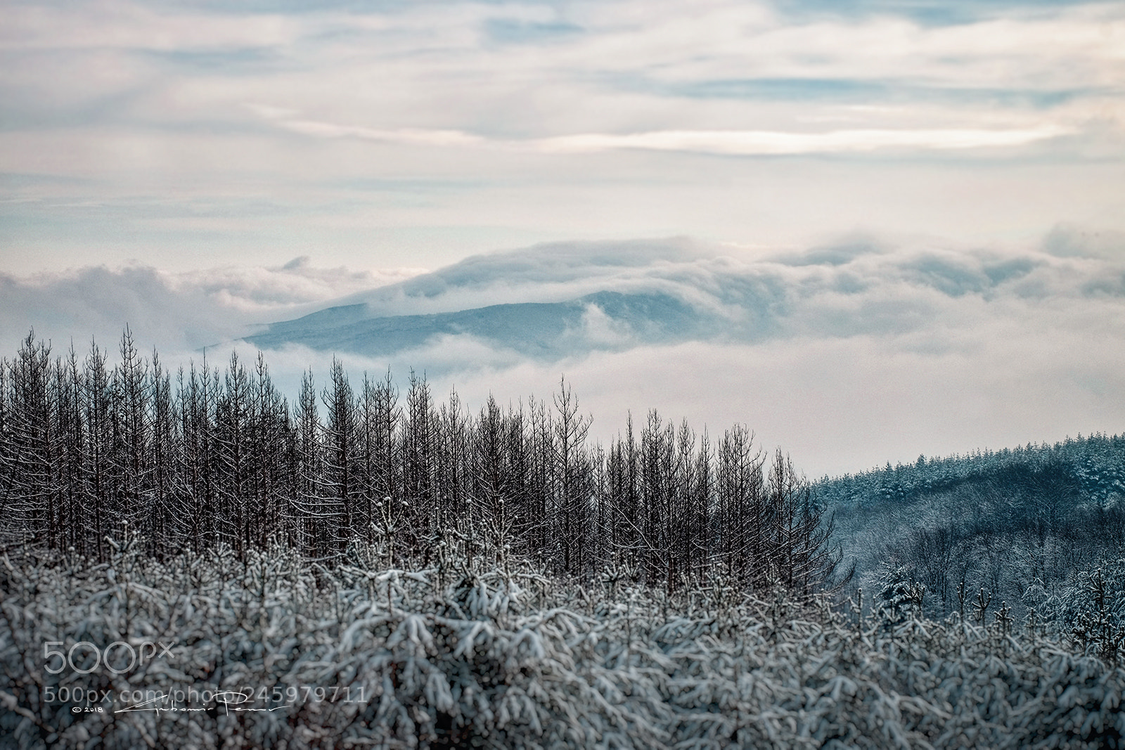 Fujifilm X-T1 sample photo. Аbove the clouds photography