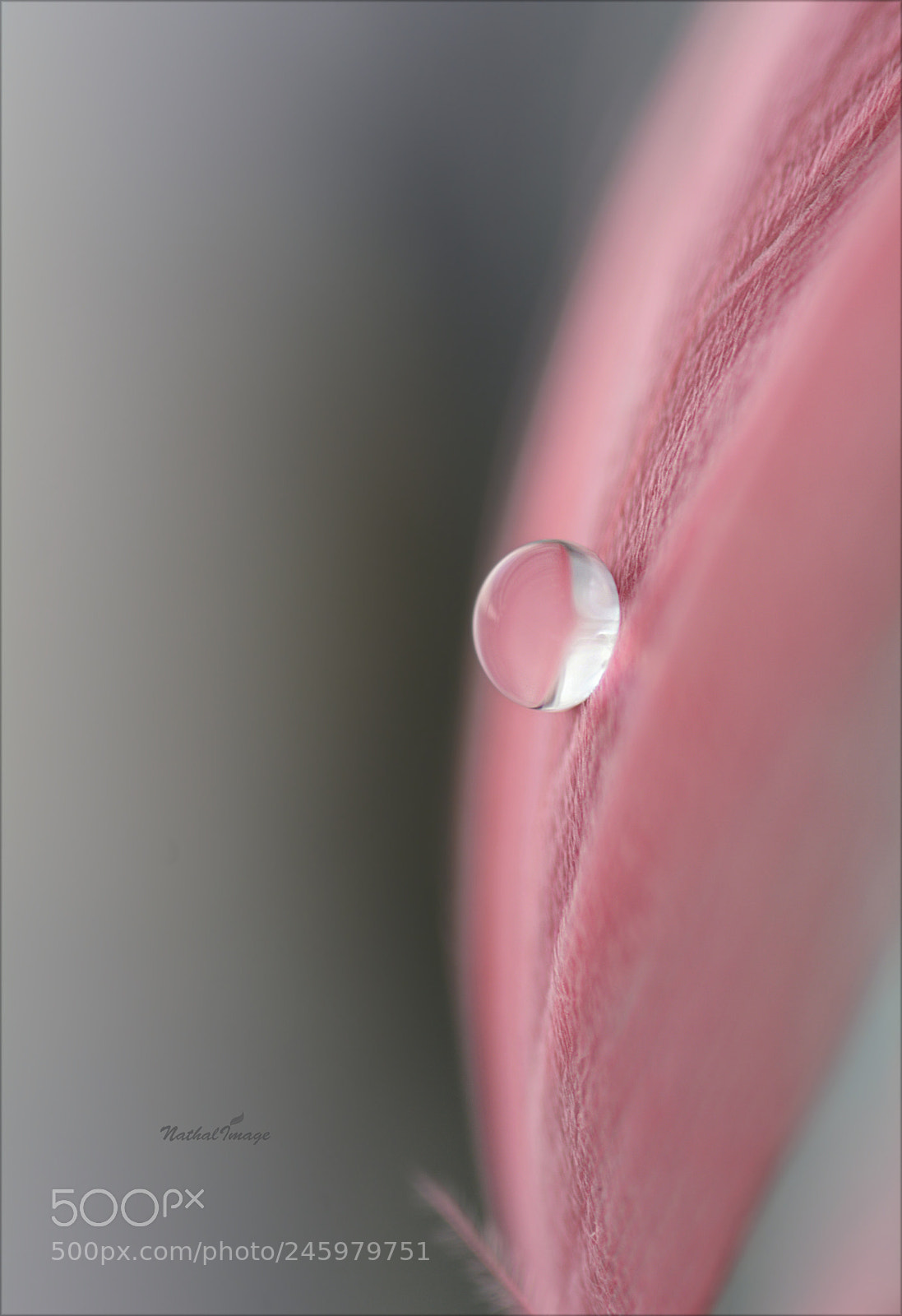 Nikon D7100 sample photo. Ceci nest pas une photography