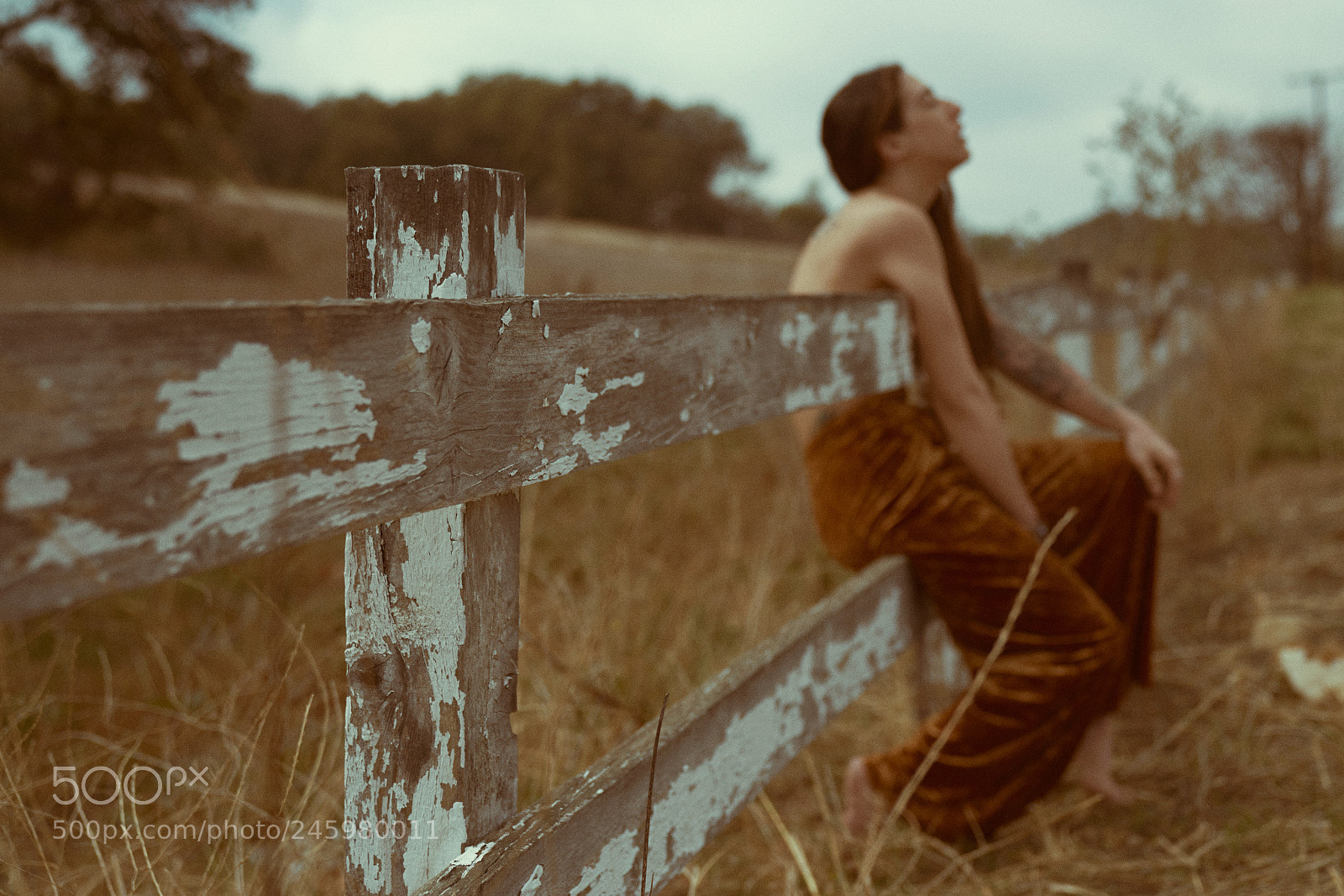 Sony a7R II sample photo. Find a way photography