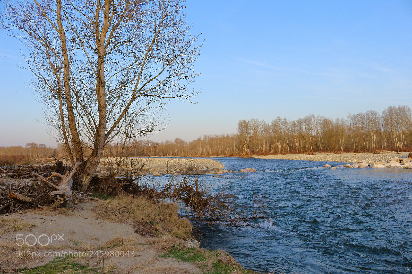 Canon EOS 700D (EOS Rebel T5i / EOS Kiss X7i) sample photo. Img photography