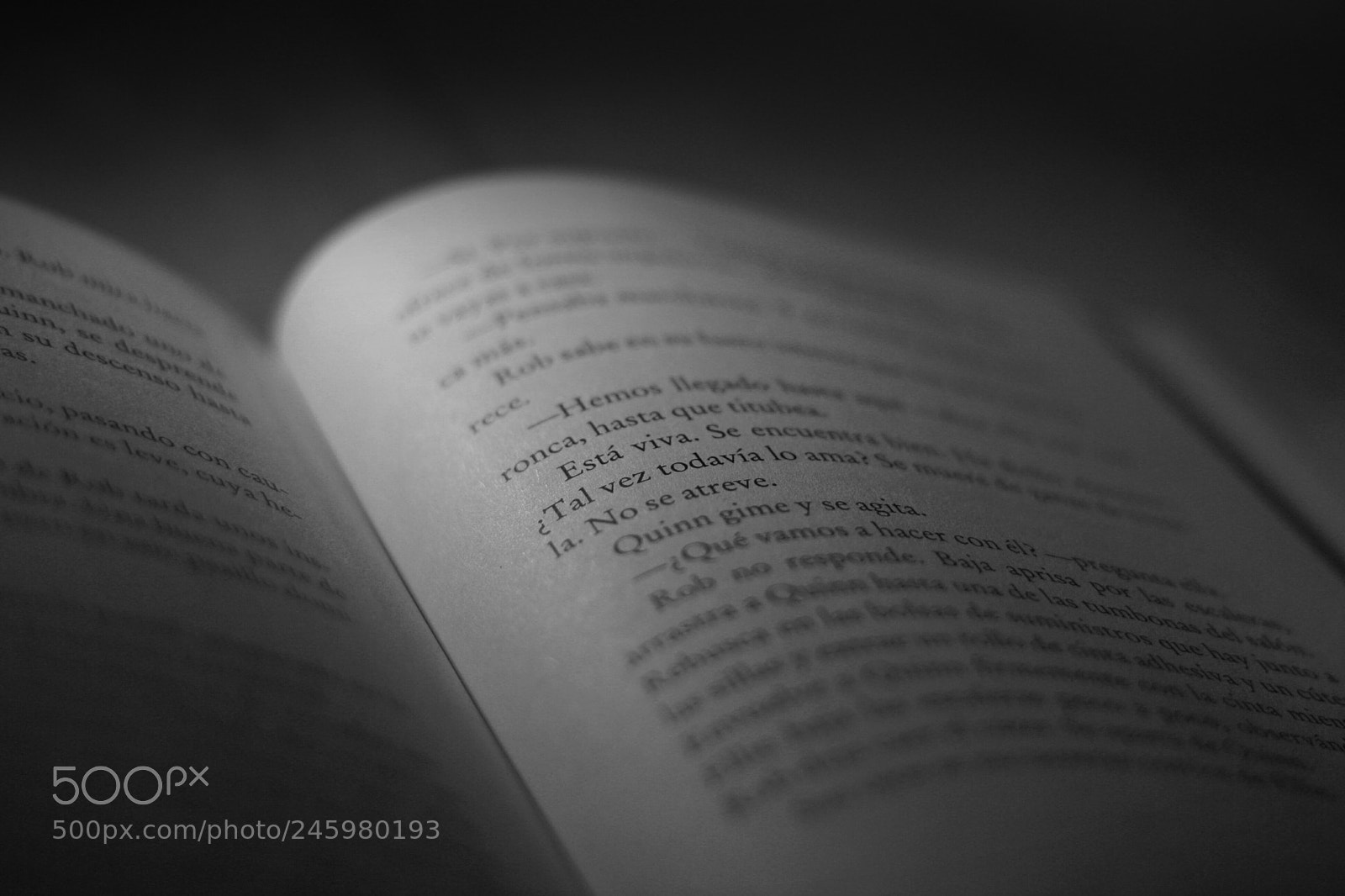 Canon EOS 1000D (EOS Digital Rebel XS / EOS Kiss F) sample photo. Tal vez... photography