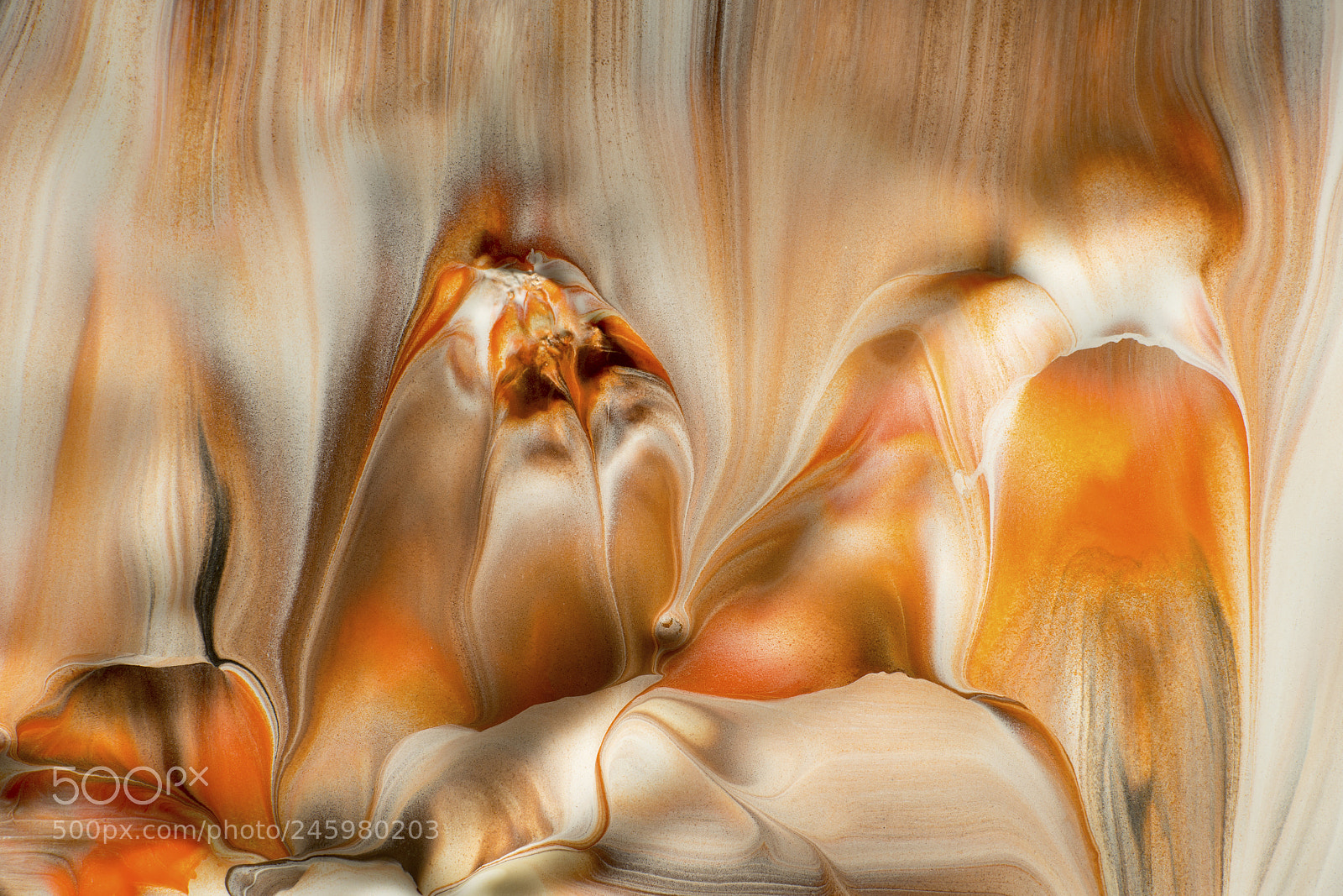 Sony a7R sample photo. Plate 6344 photography