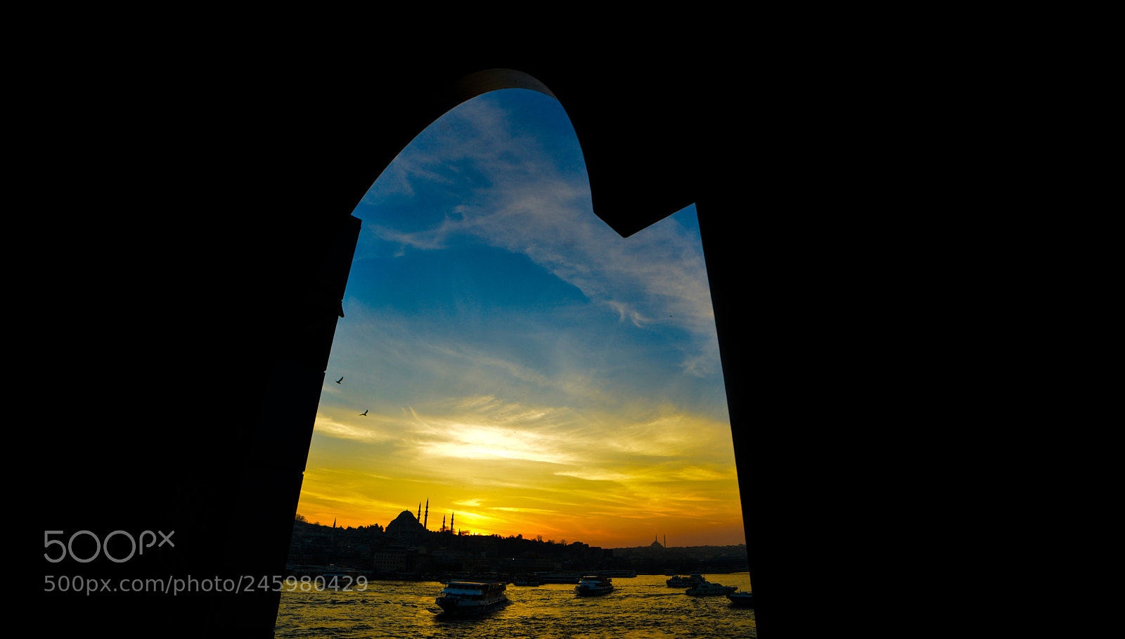 Nikon D610 sample photo. City view from under photography