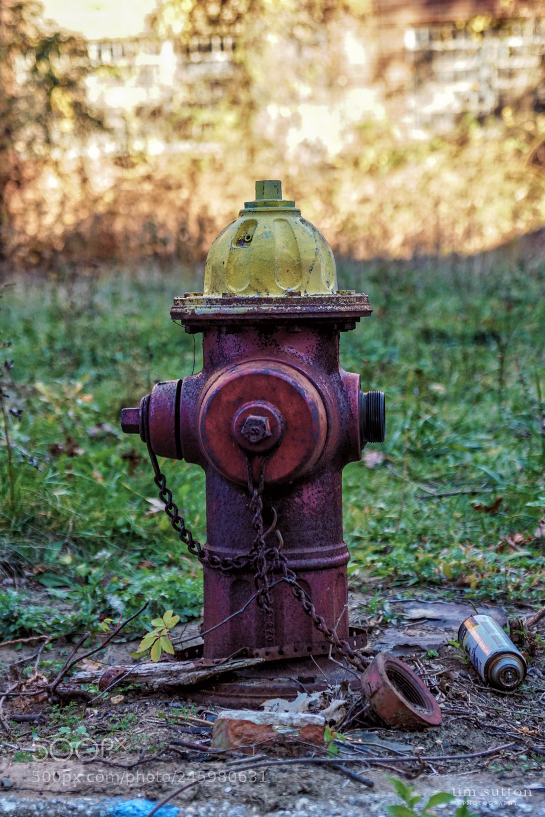 Sony ILCA-77M2 sample photo. Abandoned hydrant photography
