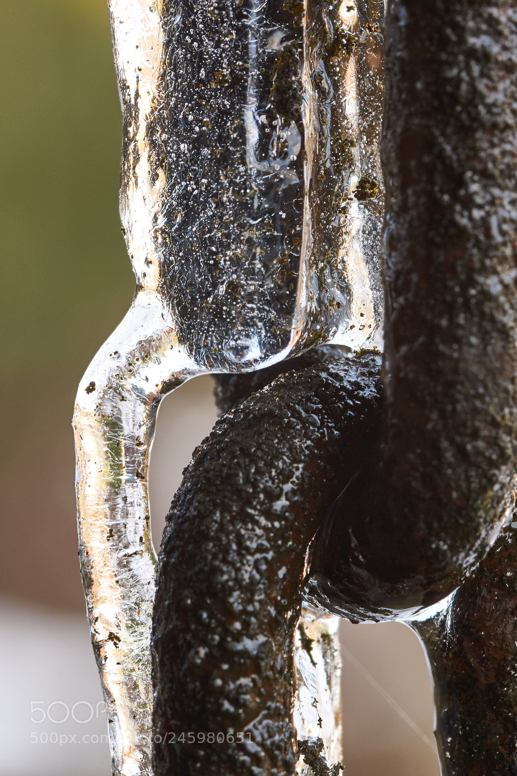 Sony SLT-A65 (SLT-A65V) sample photo. Icy chain photography
