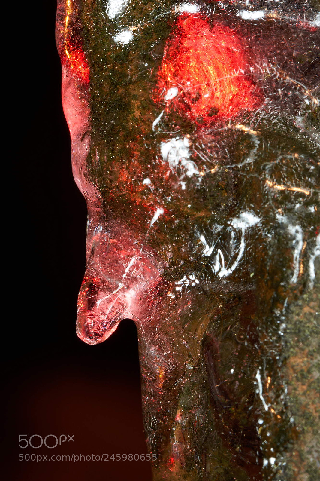Sony SLT-A65 (SLT-A65V) sample photo. Icy projection photography