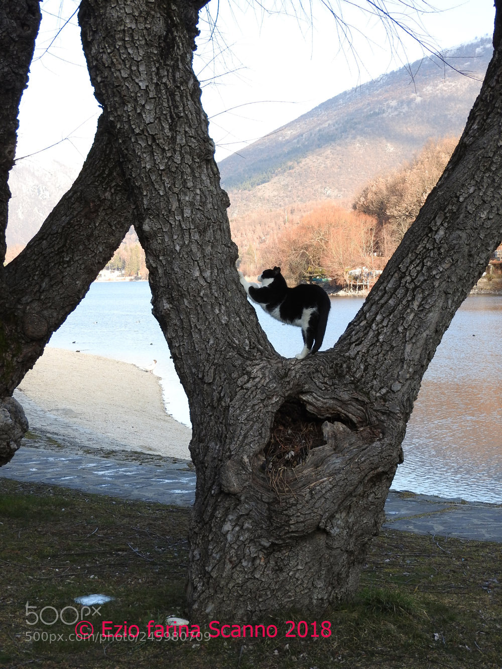 Nikon Coolpix P610 sample photo. Ginnastica photography