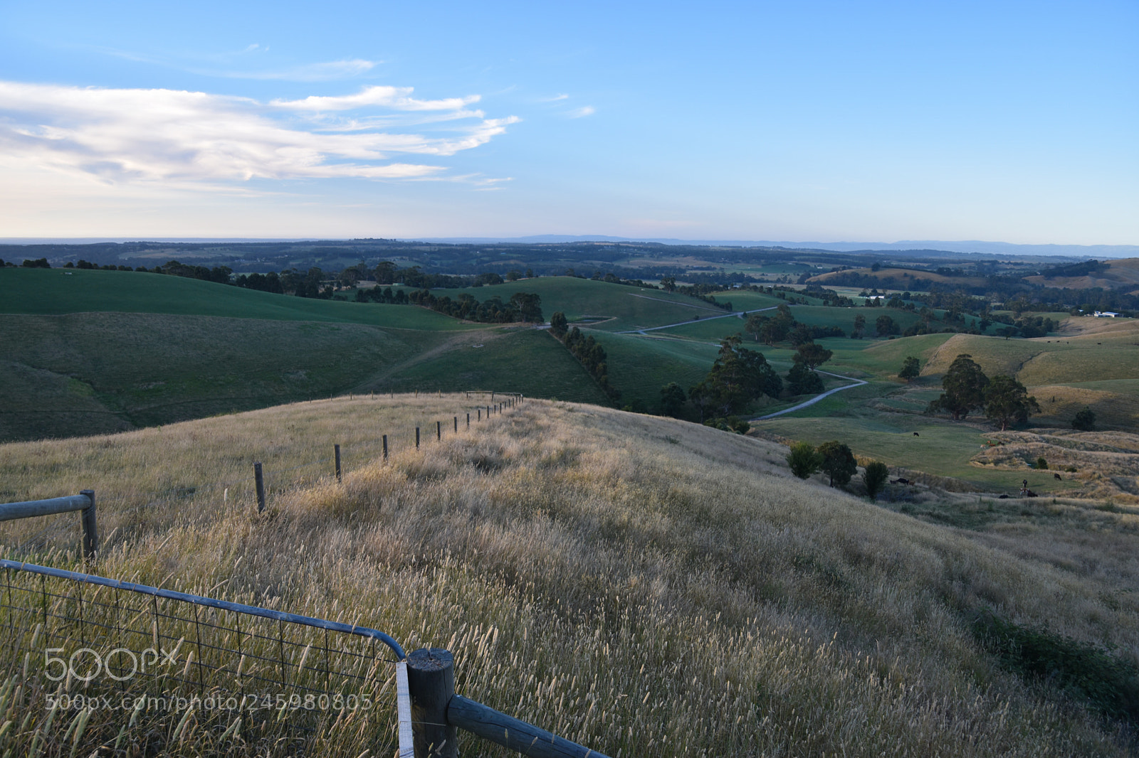 Nikon D5600 sample photo. Endless photography