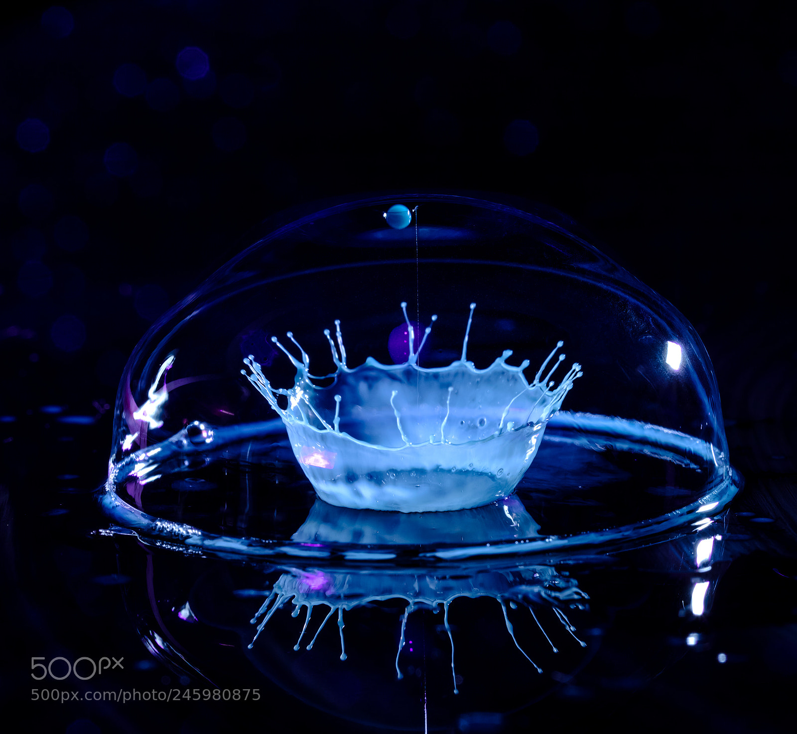 Canon EOS 5DS R sample photo. Untitled photography