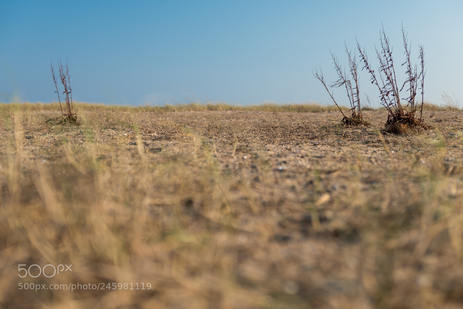 Nikon D610 sample photo. Nowhere photography
