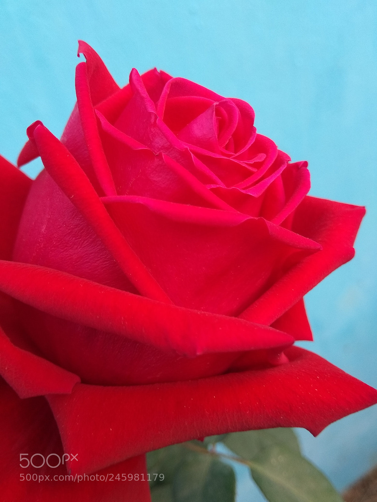 Xiaomi Redmi Note 5A sample photo. Untitled photography