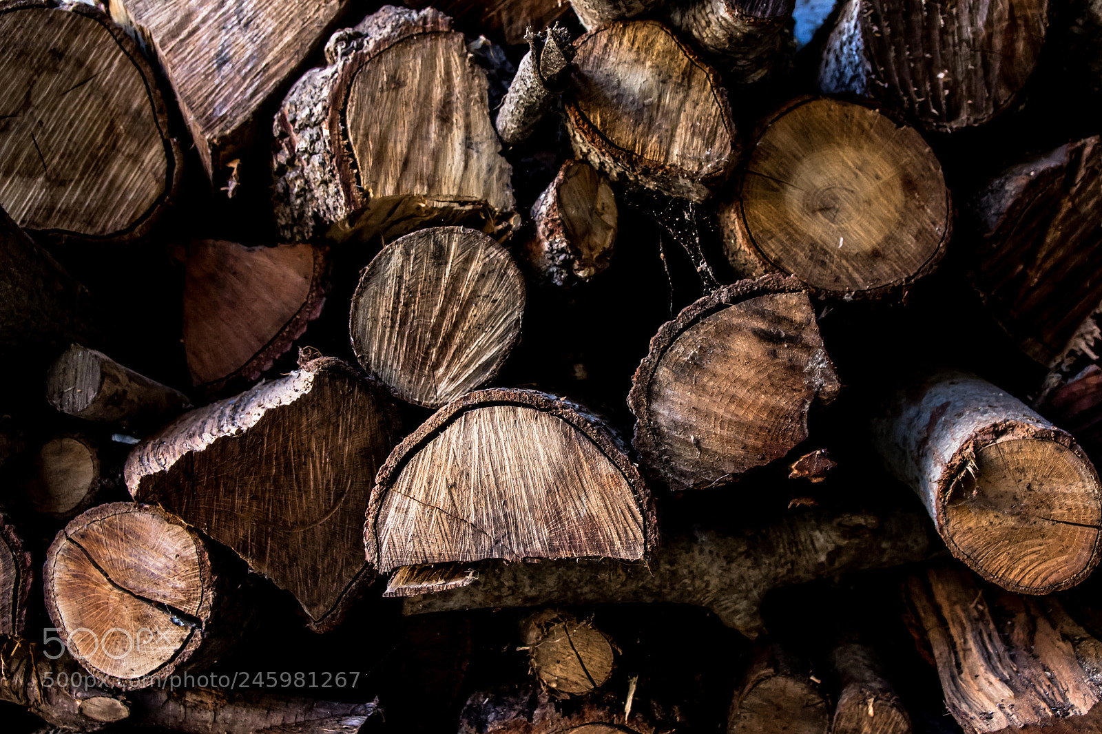 Canon EOS 600D (Rebel EOS T3i / EOS Kiss X5) sample photo. Wood photography