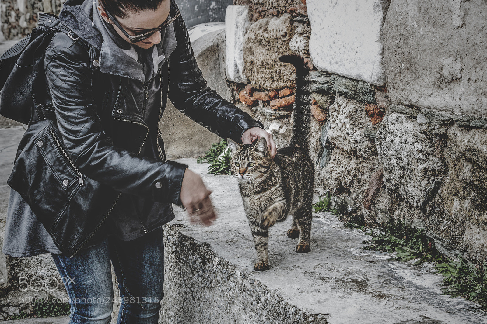 Canon EOS 750D (EOS Rebel T6i / EOS Kiss X8i) sample photo. Playing with the cat photography