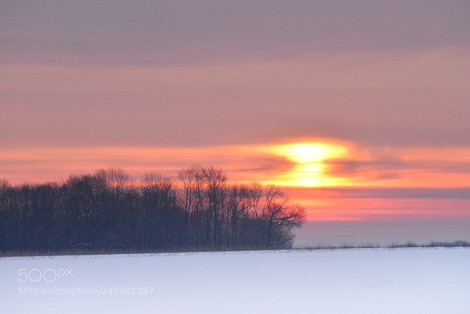 Nikon D610 sample photo. Lever de soleil photography