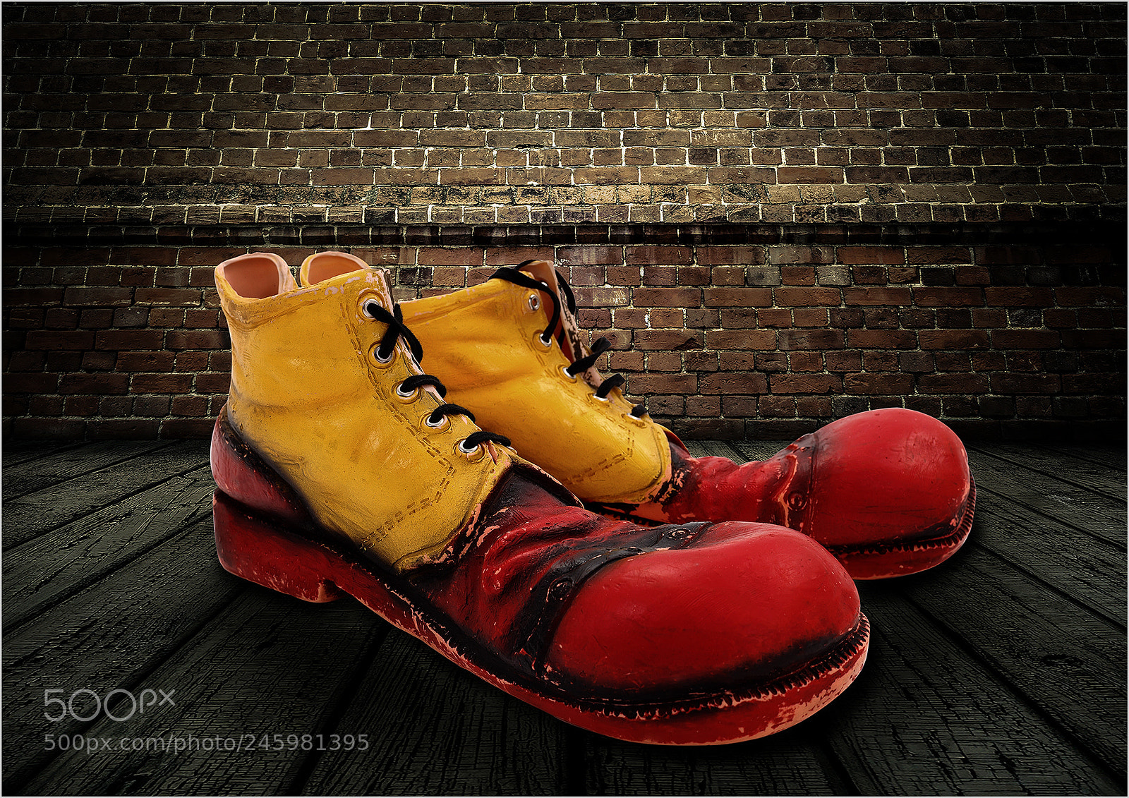 Canon EOS 50D sample photo. New shoes photography