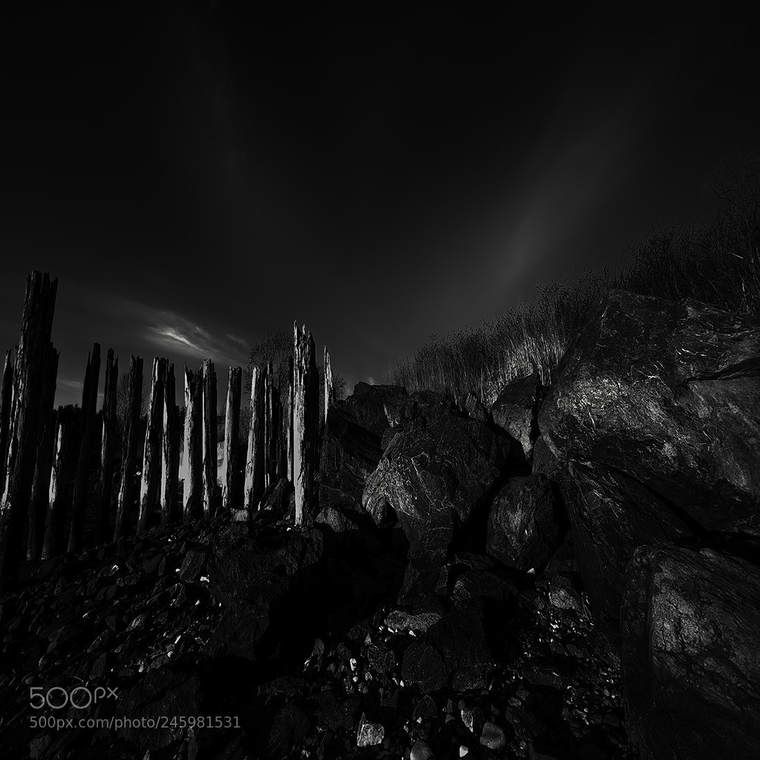 Fujifilm X-T2 sample photo. Rocks & dead trees photography