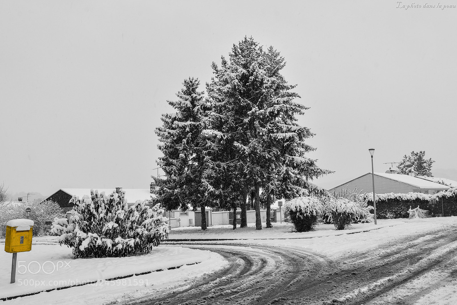 Nikon D7100 sample photo. Gf photography