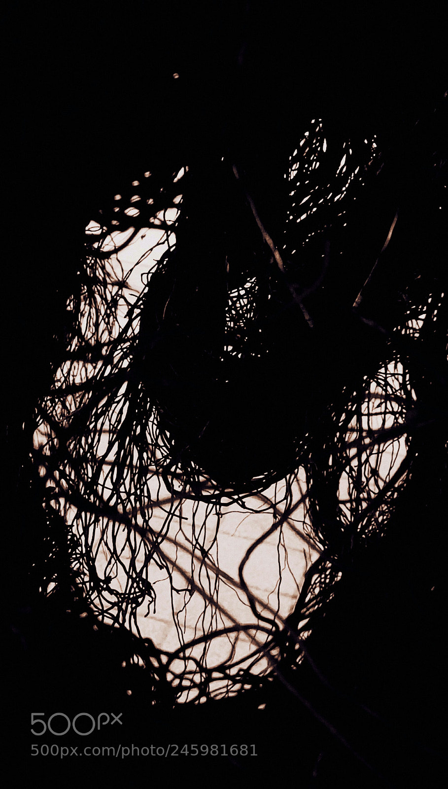 HTC D728X sample photo. Untitled photography