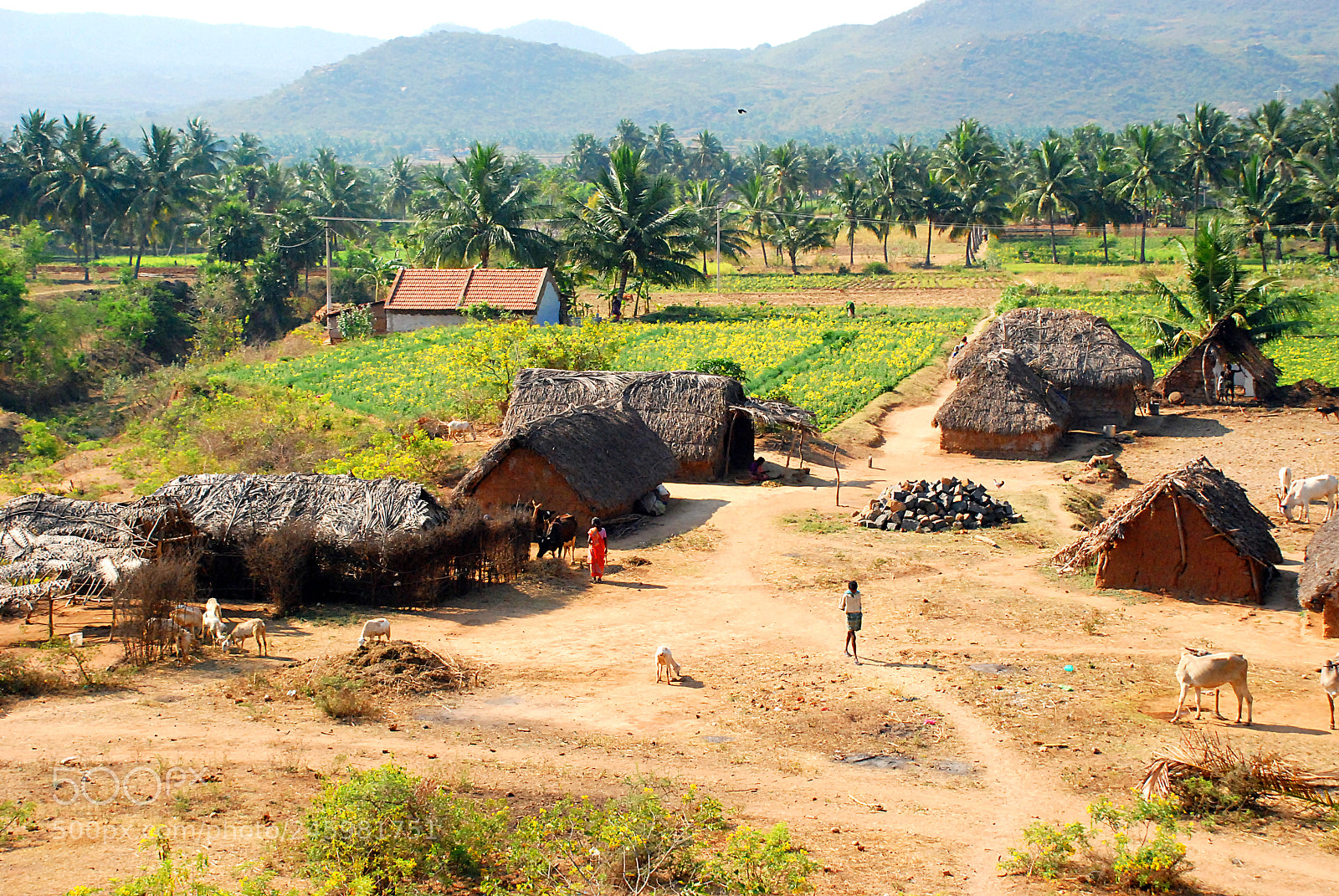 Nikon D80 sample photo. Village photography