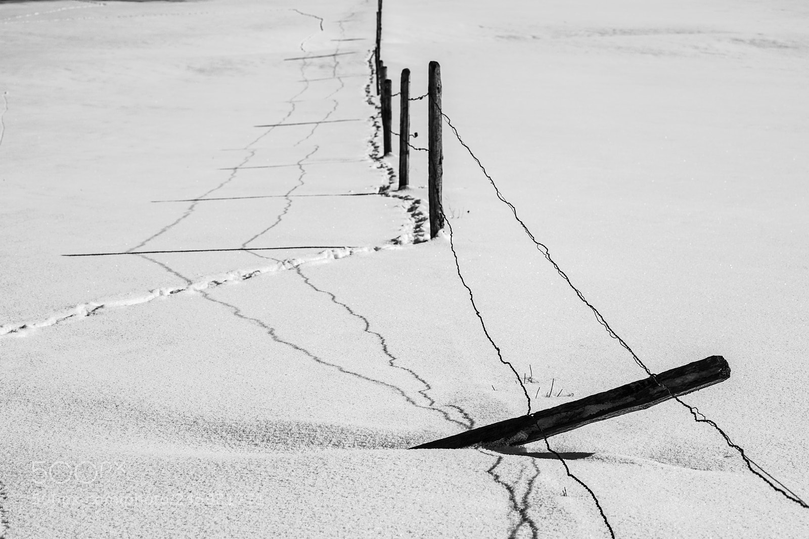 Sony a7 II sample photo. Winterwonderland photography