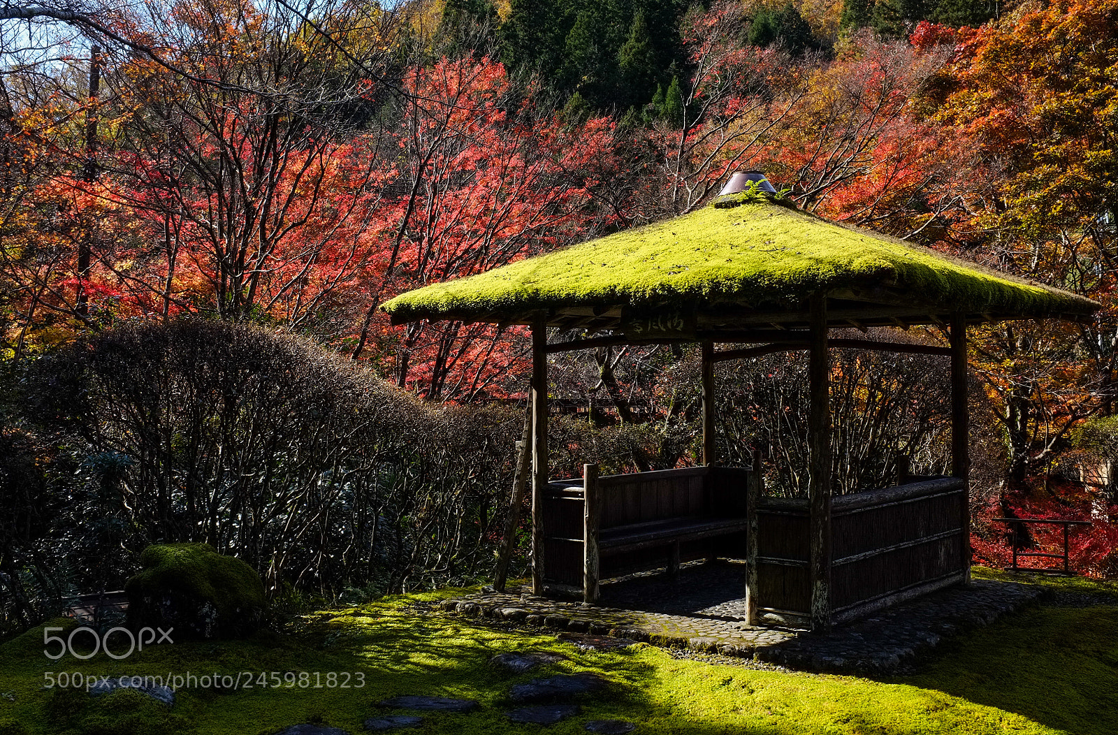 Fujifilm FinePix X100 sample photo. Till the spring photography