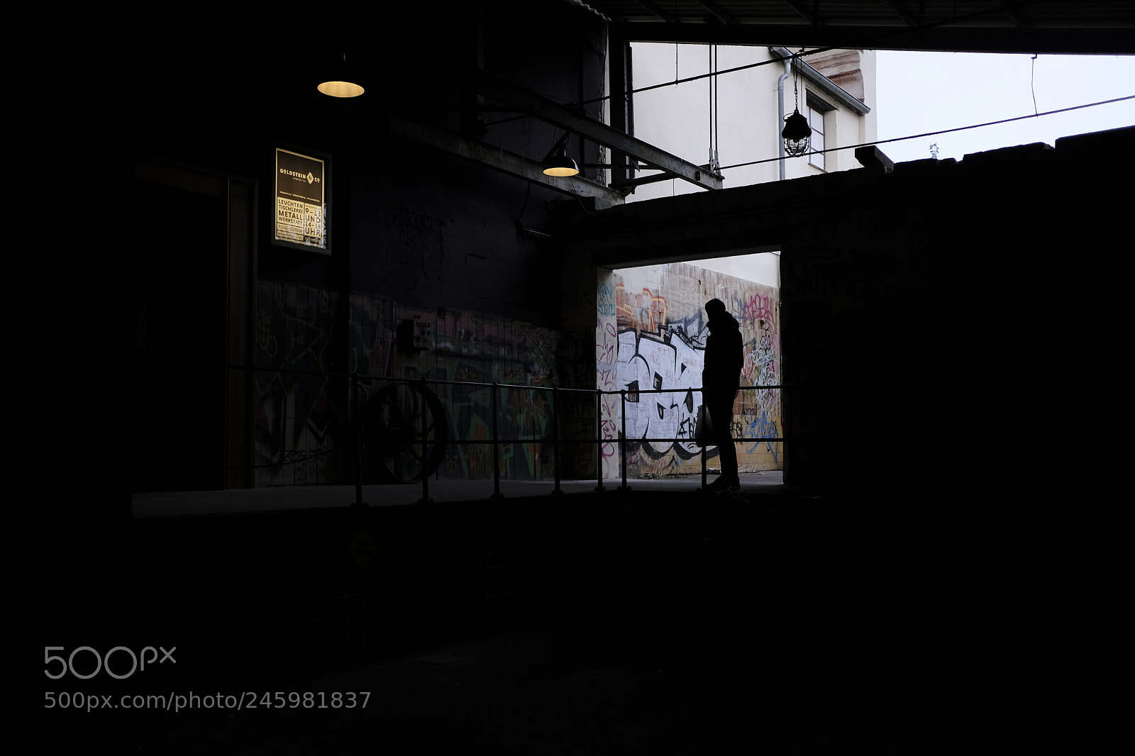 Fujifilm X-Pro2 sample photo. Dsf photography