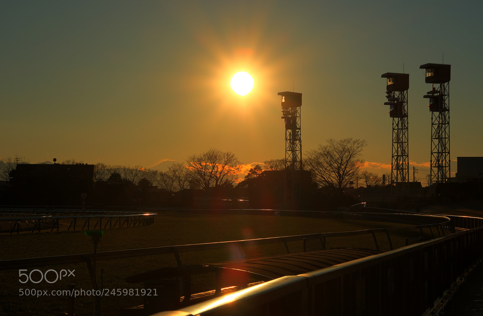 Canon EOS 7D Mark II sample photo. Tokyo race course photography