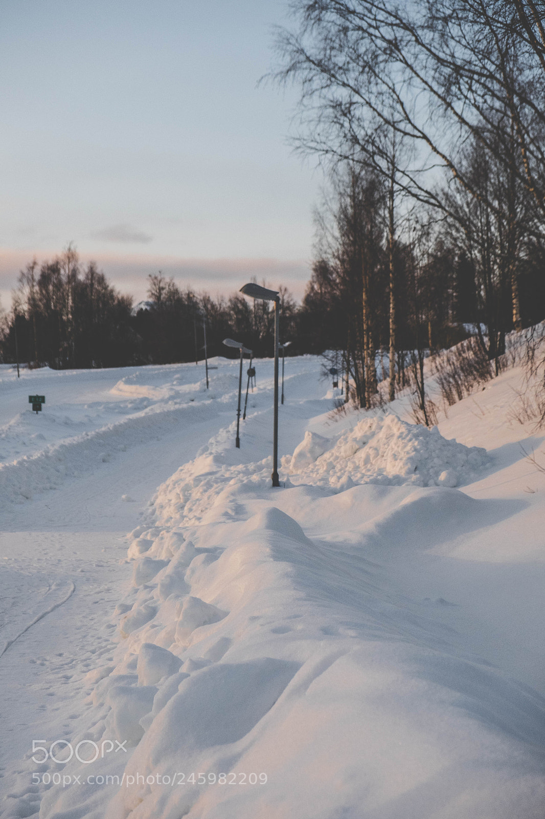 Fujifilm X-T20 sample photo. Snowy light poles photography