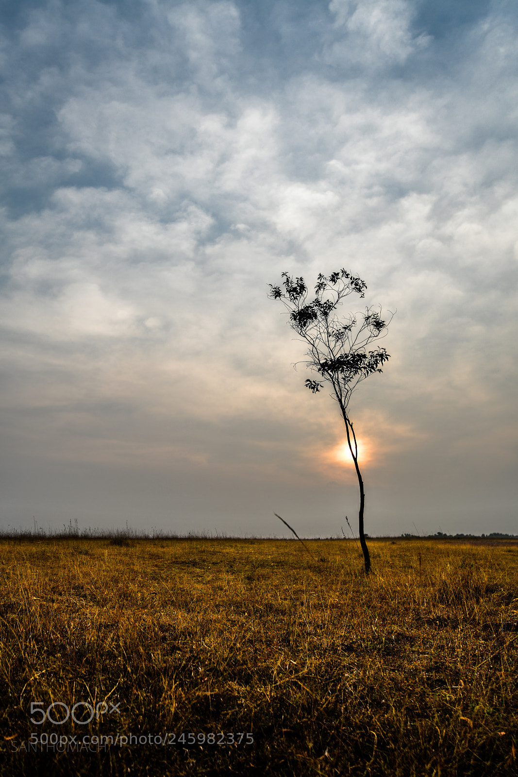 Nikon D850 sample photo. The feeling of isolation photography