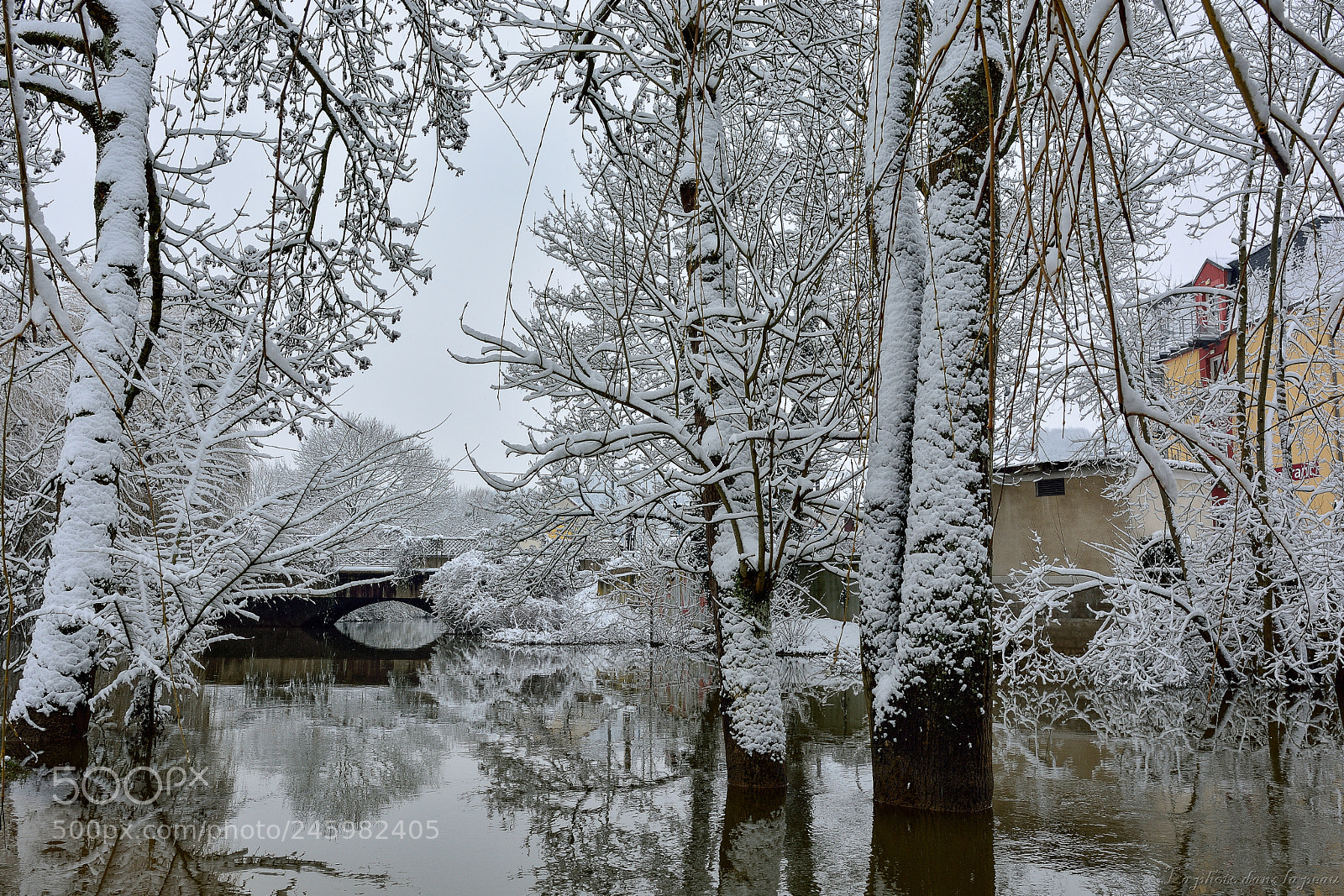 Nikon D7100 sample photo. Gf photography