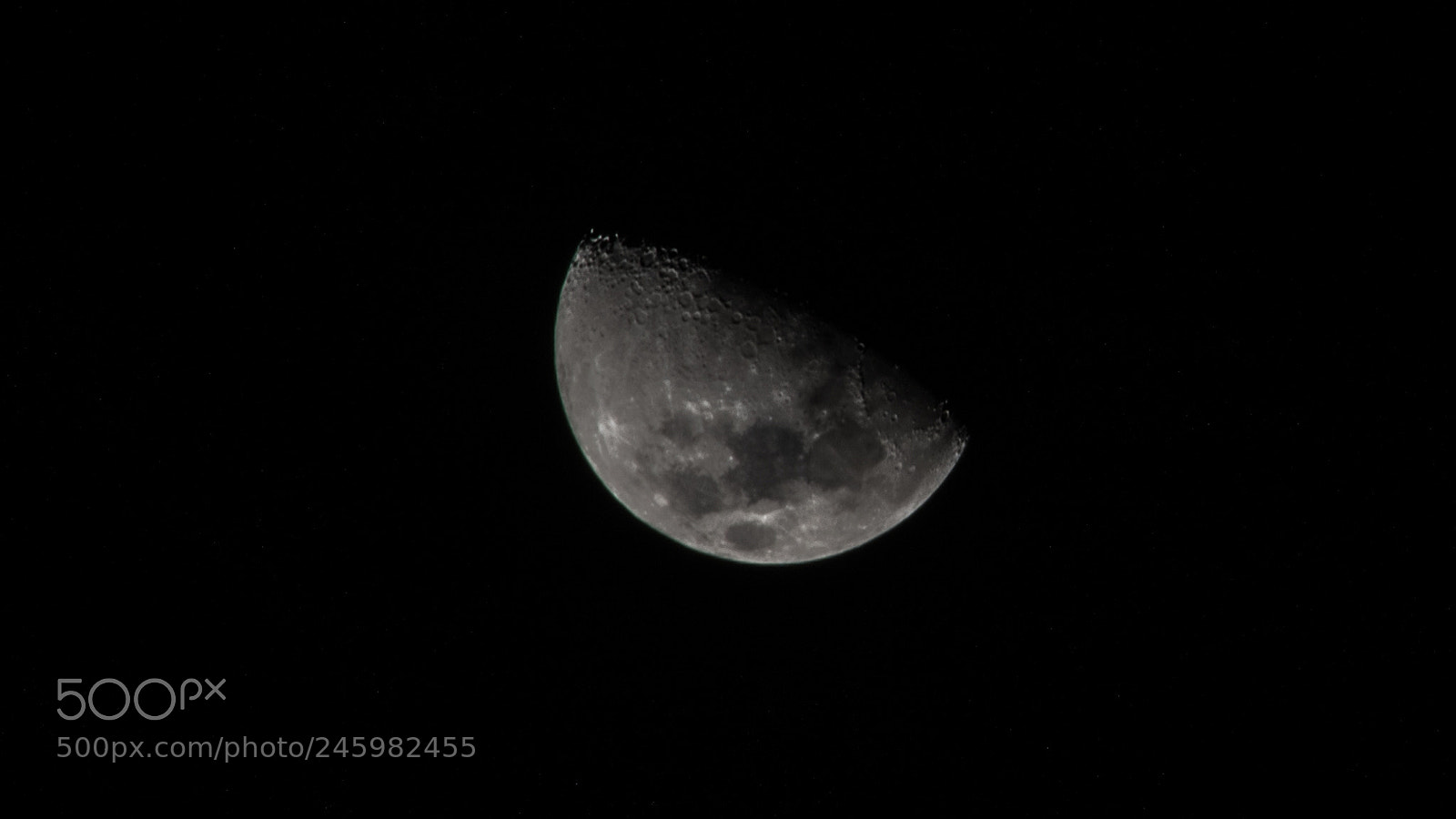 Nikon D5600 sample photo. Night is young photography