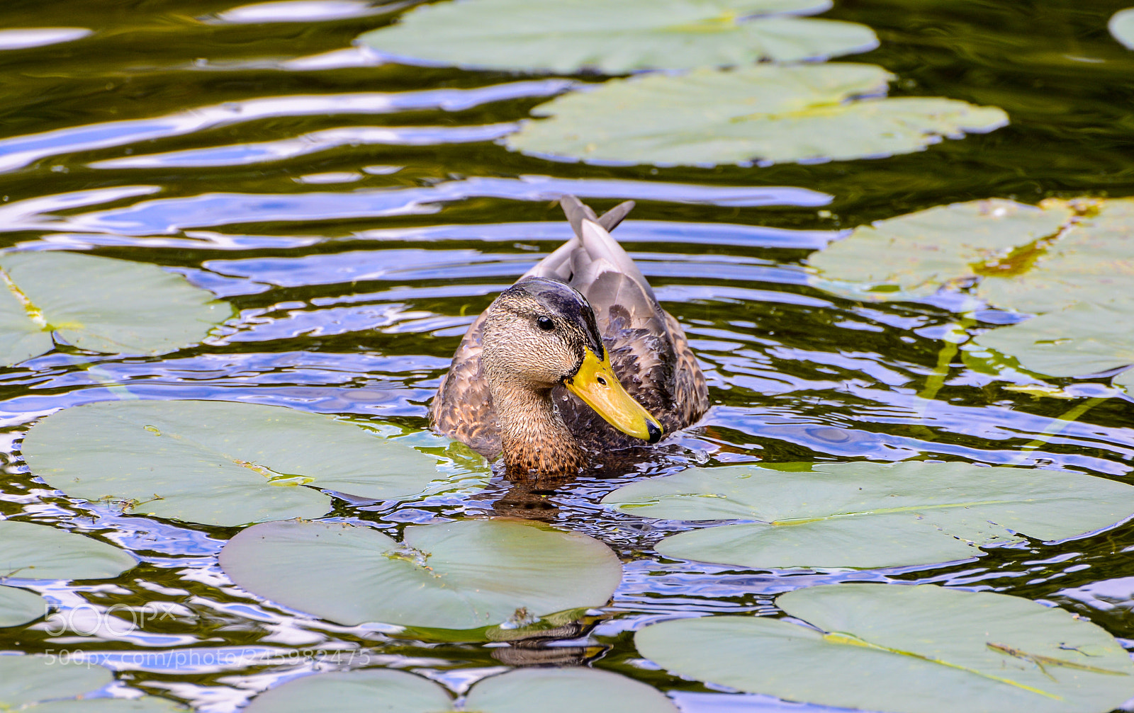 Nikon D600 sample photo. I’m so happy photography