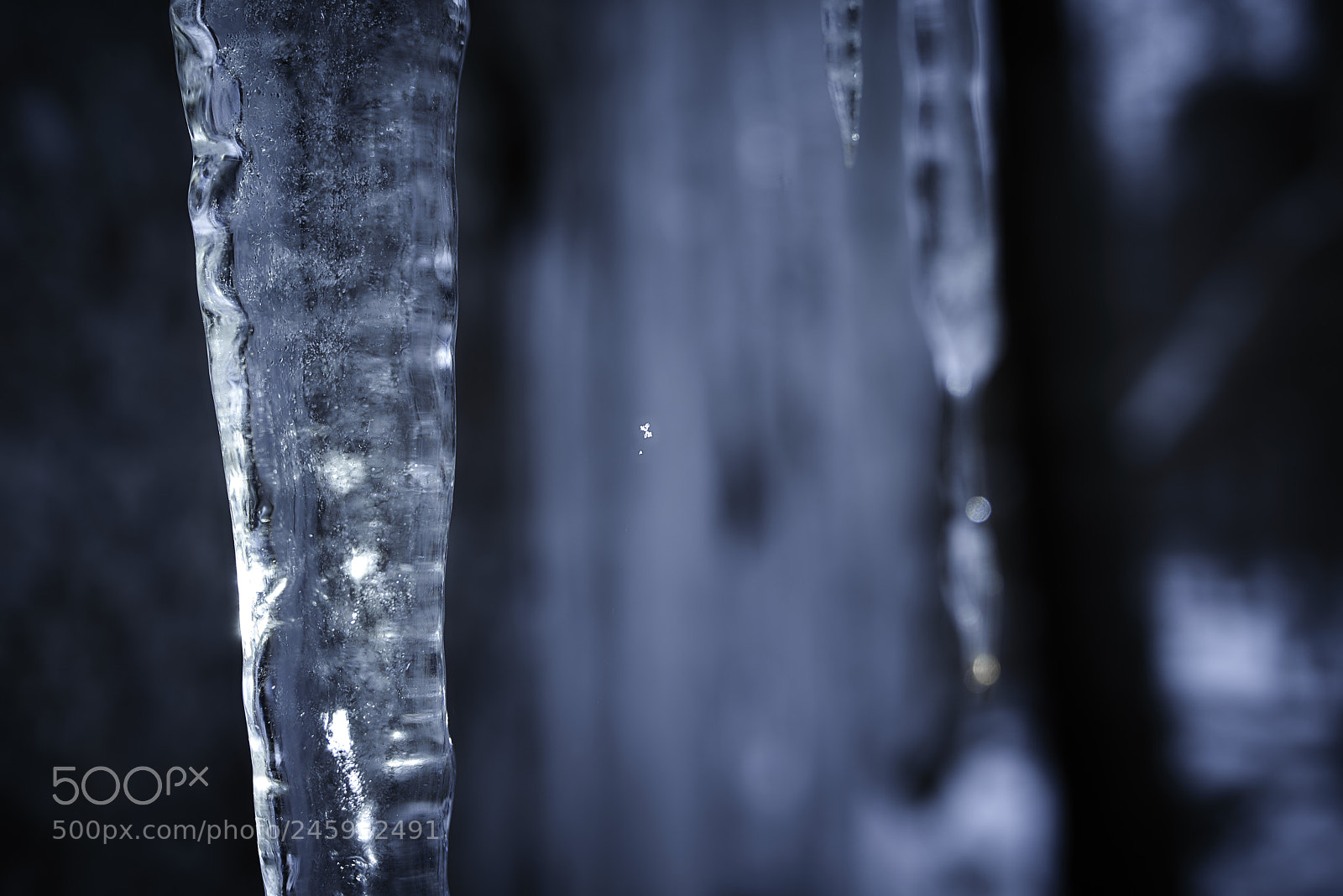 Nikon D800E sample photo. The tiny snowflake photography