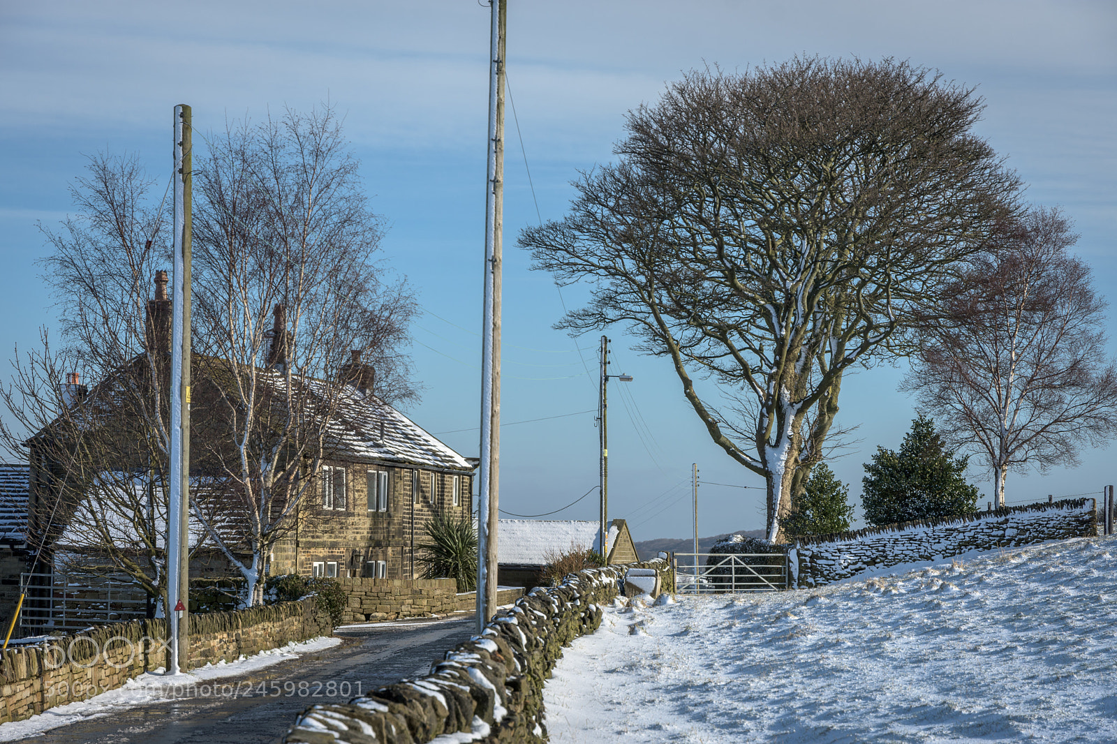 Nikon D7200 sample photo. Farmhouse and tree, wooldale photography