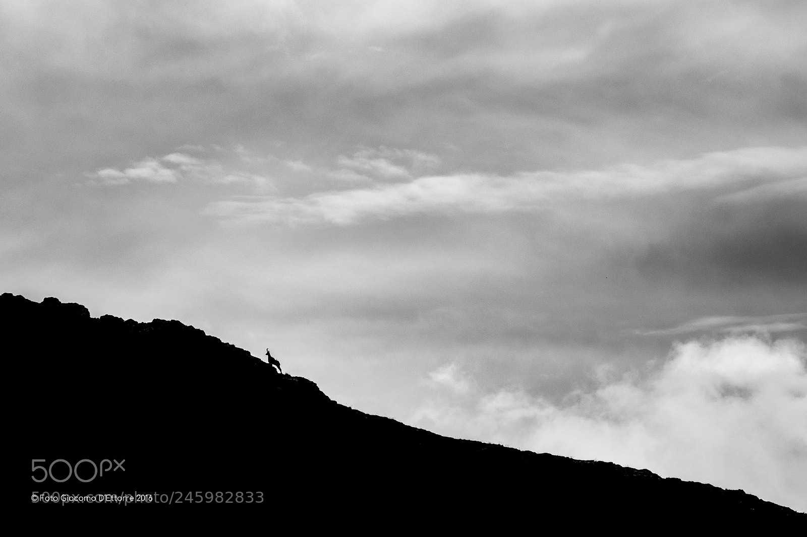 Nikon D5200 sample photo. Camosciosilhouette photography