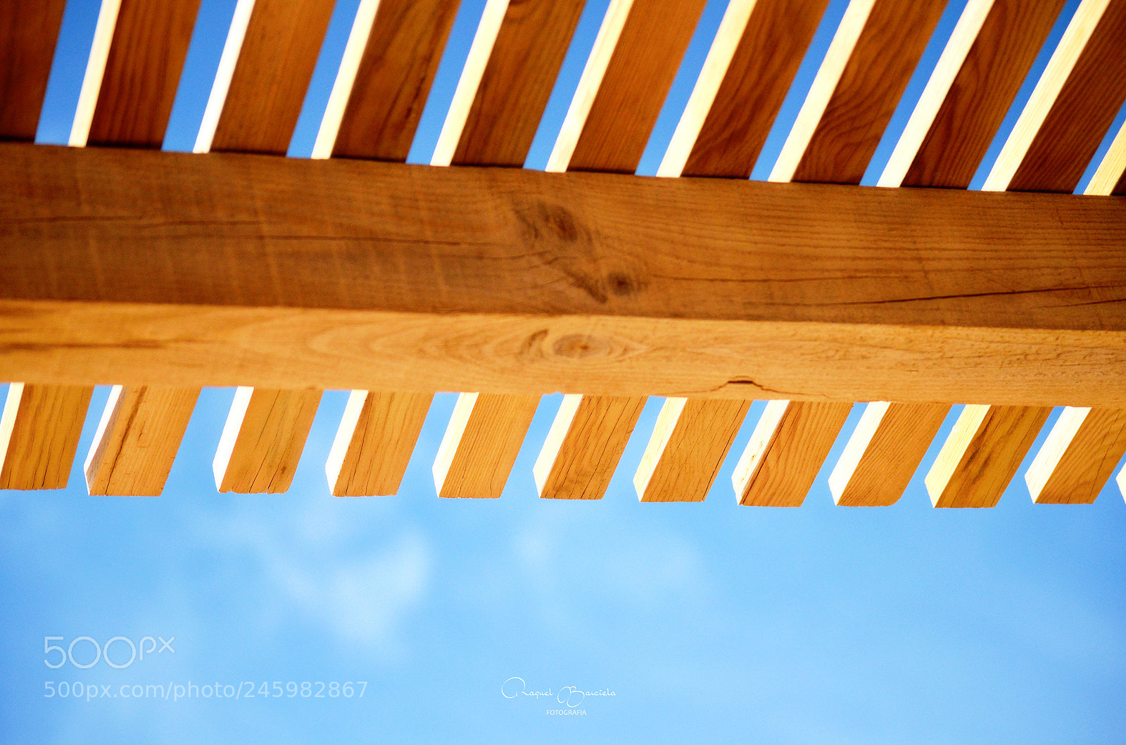 Nikon D5100 sample photo. Cabana photography
