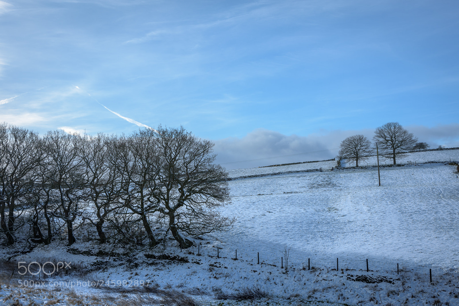 Nikon D7200 sample photo. Trees and snow, totties photography