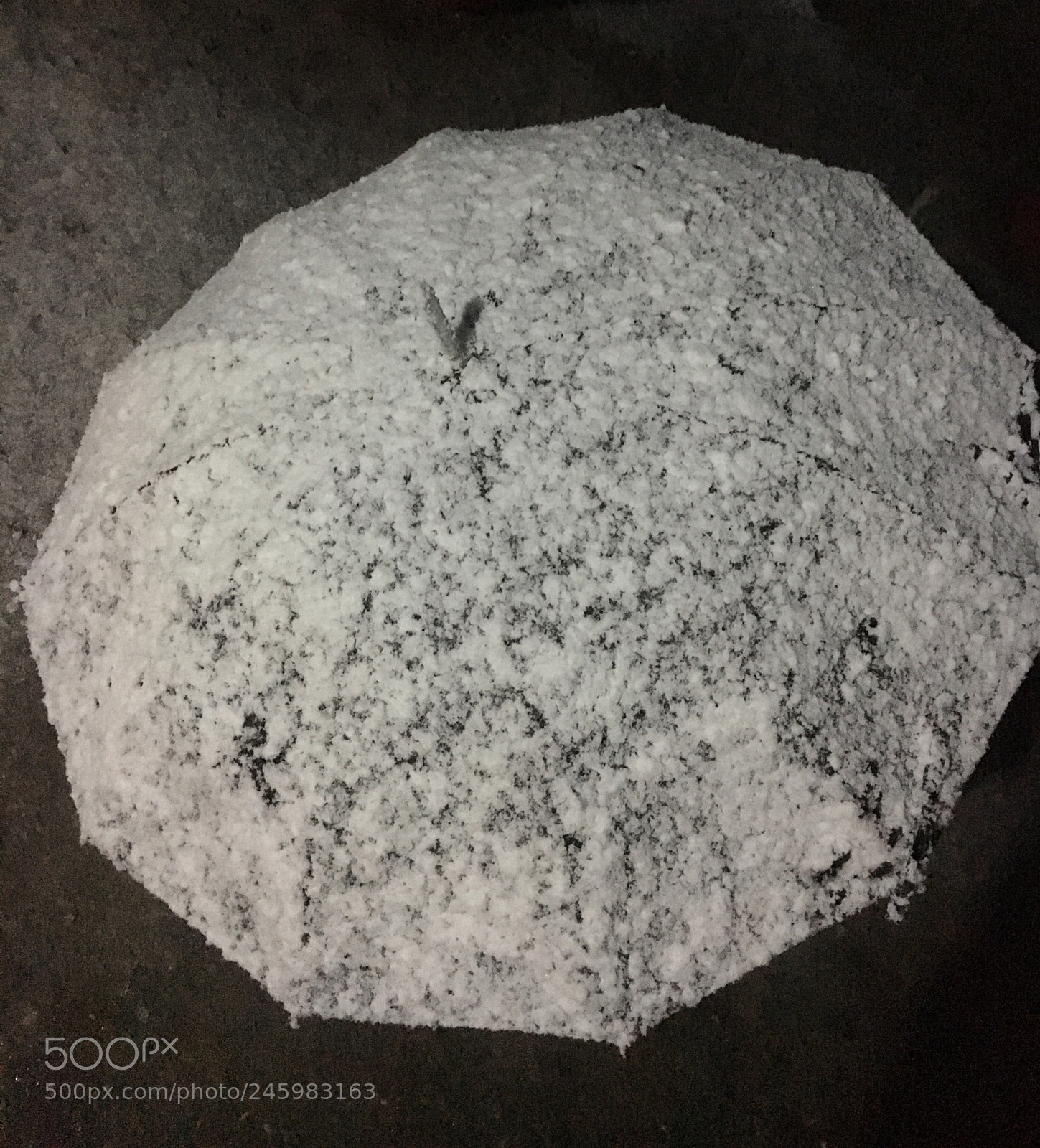 Apple iPhone 6s sample photo. Untitled photography
