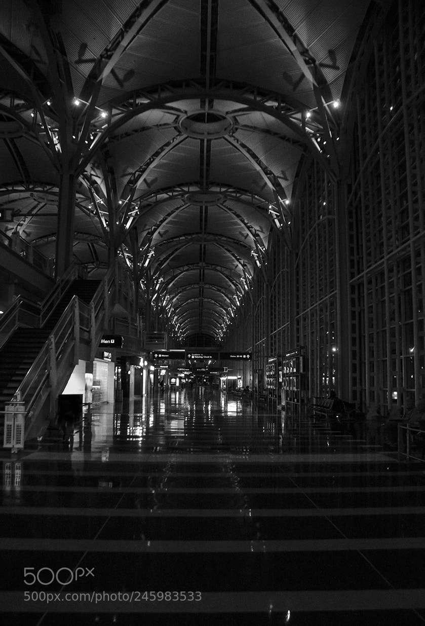 Nikon D5100 sample photo. Black and white photography